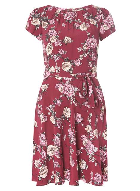 Billie blossom dresses hot sale dorothy perkins